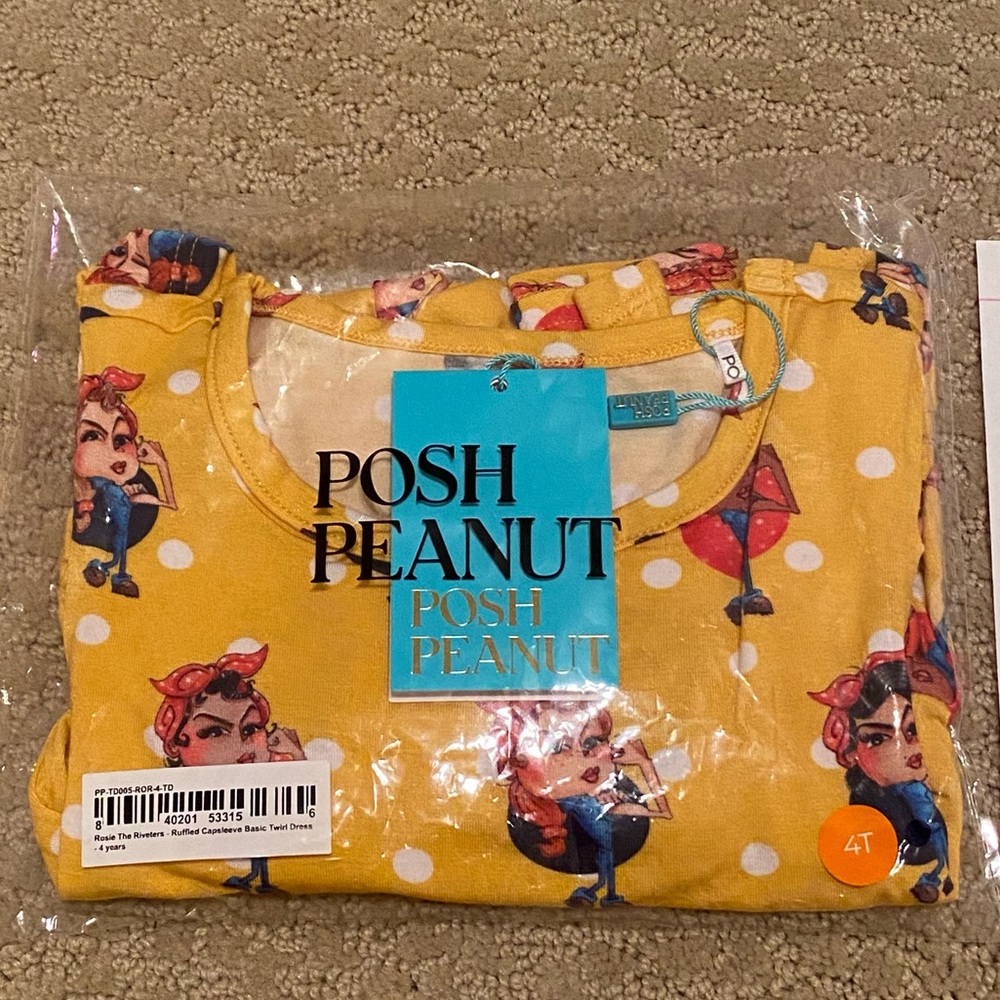 NWT 4T Twirl dress Rosie